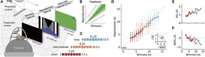 A virtual reality time reproduction task for rodents